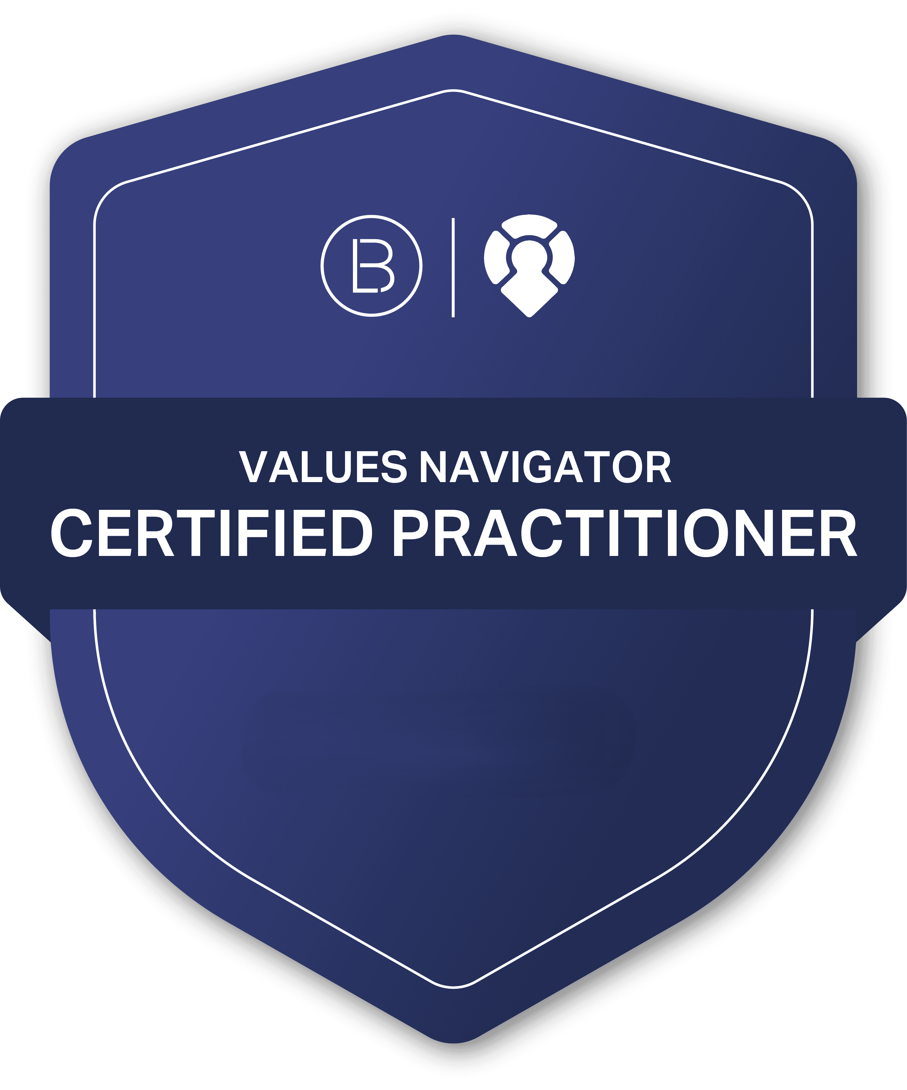Values Navigator Certified Practitioner