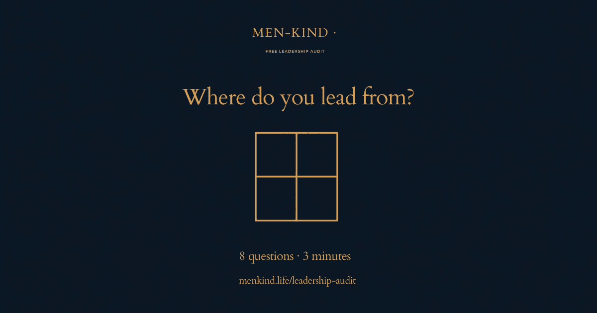 The Leadership Identity Matrix, two axes and four quadrants